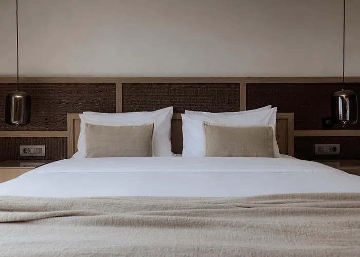 Ξενοδοχείο Enigma Mykonos Hideaway 4*